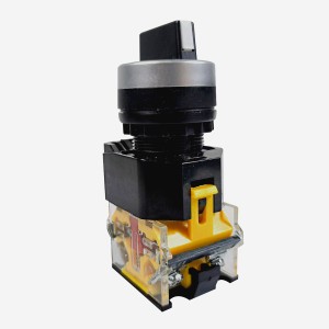 BOTON SELECTOR  LA38-11X2 2 PASES